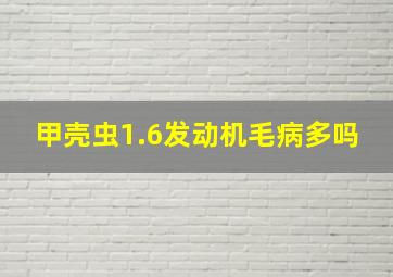 甲壳虫1.6发动机毛病多吗