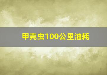 甲壳虫100公里油耗