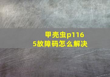 甲壳虫p1165故障码怎么解决