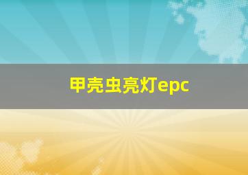 甲壳虫亮灯epc