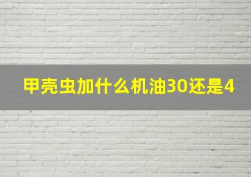 甲壳虫加什么机油30还是4