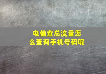 电信查总流量怎么查询手机号码呢