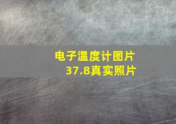 电子温度计图片37.8真实照片