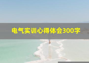 电气实训心得体会300字