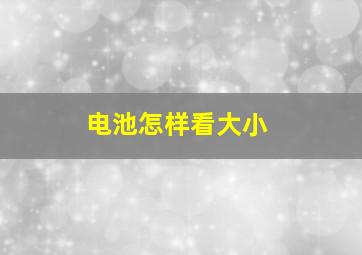 电池怎样看大小