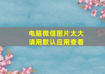 电脑微信图片太大请用默认应用查看