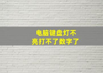 电脑键盘灯不亮打不了数字了