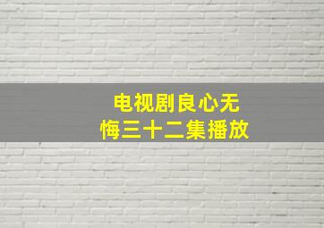 电视剧良心无悔三十二集播放