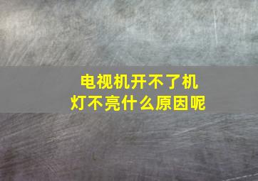 电视机开不了机灯不亮什么原因呢