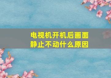 电视机开机后画面静止不动什么原因