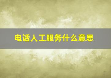 电话人工服务什么意思