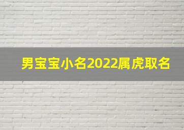 男宝宝小名2022属虎取名