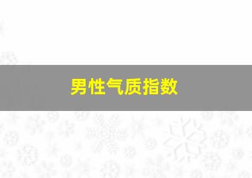 男性气质指数