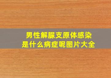 男性解脲支原体感染是什么病症呢图片大全