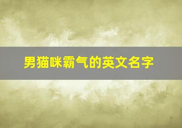 男猫咪霸气的英文名字