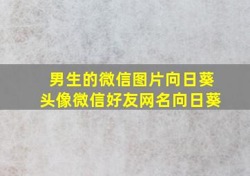 男生的微信图片向日葵头像微信好友网名向日葵