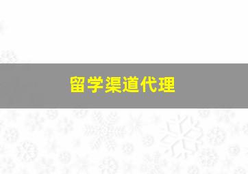 留学渠道代理