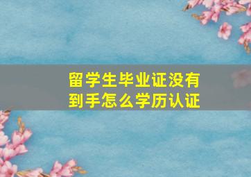 留学生毕业证没有到手怎么学历认证