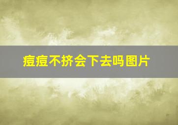 痘痘不挤会下去吗图片