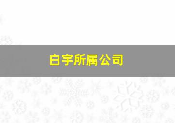 白宇所属公司