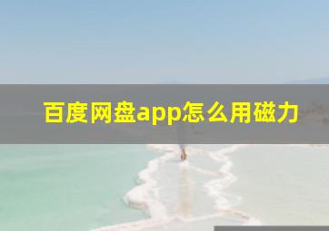 百度网盘app怎么用磁力