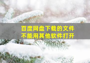 百度网盘下载的文件不能用其他软件打开