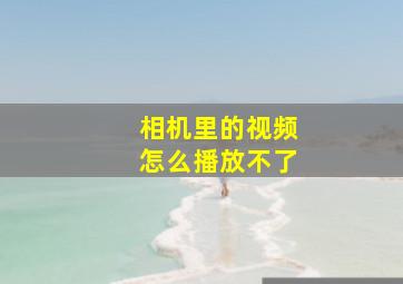 相机里的视频怎么播放不了