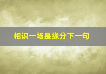 相识一场是缘分下一句