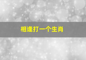 相逢打一个生肖