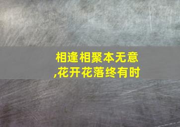 相逢相聚本无意,花开花落终有时