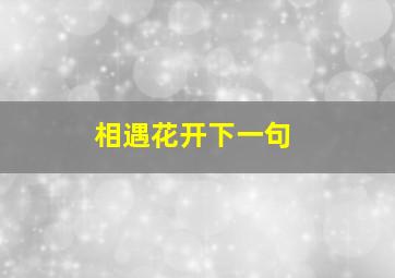 相遇花开下一句