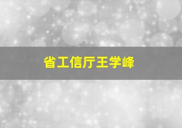 省工信厅王学峰