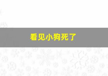 看见小狗死了