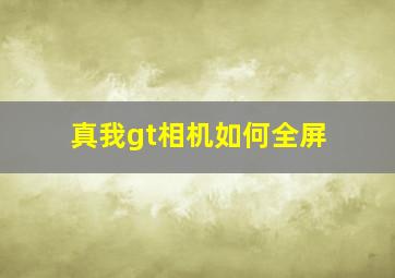 真我gt相机如何全屏