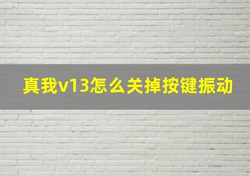 真我v13怎么关掉按键振动