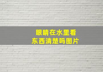 眼睛在水里看东西清楚吗图片