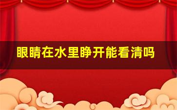 眼睛在水里睁开能看清吗