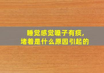 睡觉感觉嗓子有痰,堵着是什么原因引起的