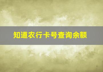 知道农行卡号查询余额