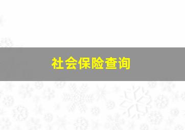 社会保险查询