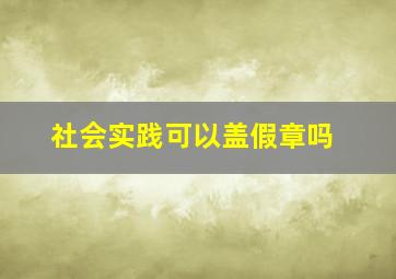 社会实践可以盖假章吗