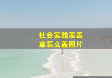 社会实践表盖章怎么盖图片