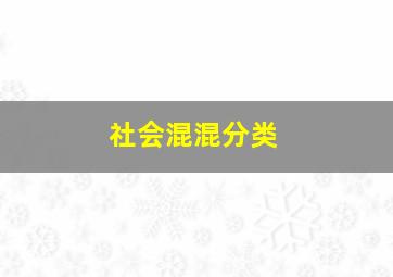 社会混混分类