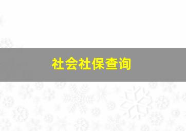 社会社保查询