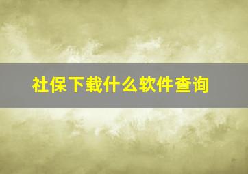 社保下载什么软件查询