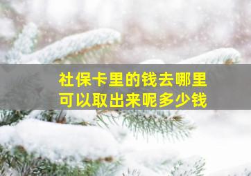 社保卡里的钱去哪里可以取出来呢多少钱