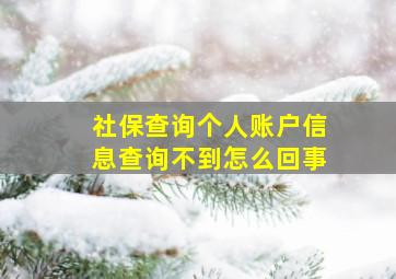 社保查询个人账户信息查询不到怎么回事