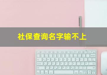 社保查询名字输不上