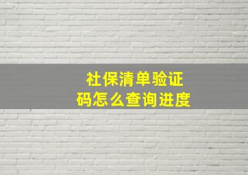 社保清单验证码怎么查询进度