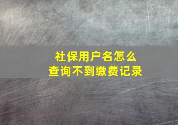 社保用户名怎么查询不到缴费记录